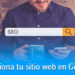 SEO para google